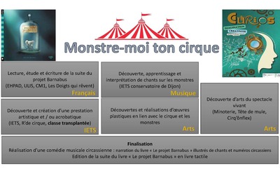 Image du projet Monstre-moi ton cirque