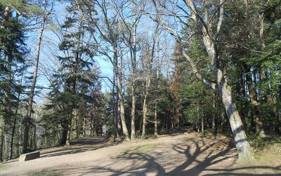 Image du projet Aire du Parc des Chaumes éducative