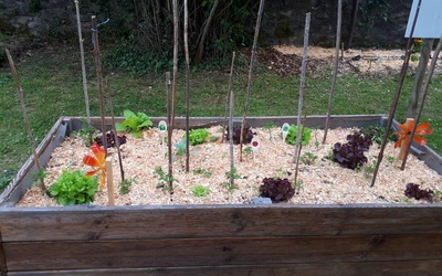 Image du projet Le jardin en mouvement