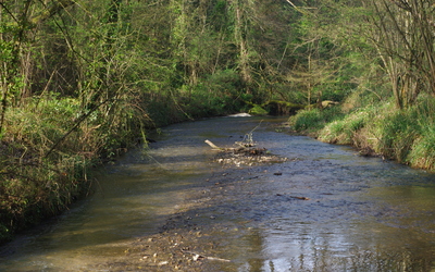 Image du projet Albi, un territoire engagé pour la biodiversité