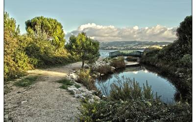 Image du projet Biodiversité à Martigues