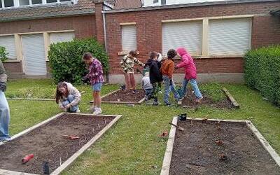 Image du projet De la graine de citoyen : notre aire terrestre éducative 