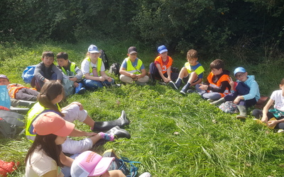 Image du projet Une aire terrestre éducative à l'école de Pont l'Abbé d'Arnoult