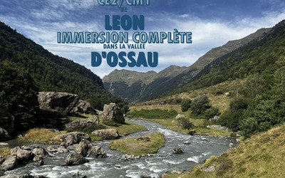 Image du projet Immersion complète en Vallée d'Ossau!