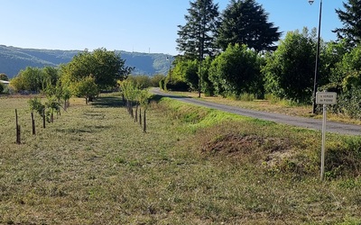 Image du projet Aire terrestre éducative à Pinsac