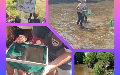 Image du projet AFE du Rhins : les élèves de Régny acteurs de leur rivière