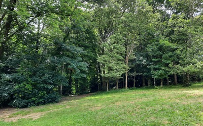 Image du projet Un pas dehors chaque semaine pour nos élèves de maternelle