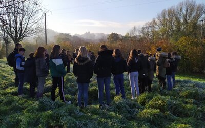 Image du projet Une aire éducative gérée par les 6èmes du collège Simone Veil.