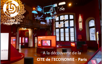 Image du projet Visite de la cité de l'économie et du musée du Louvre à Paris