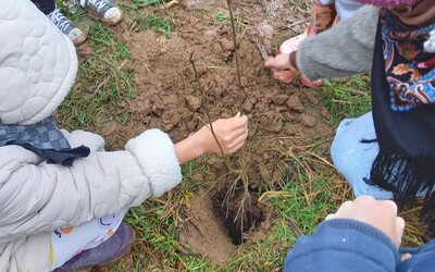 Image du projet ATE-Une aire éducative pour la biodiversité-Le Gault-du-Perche