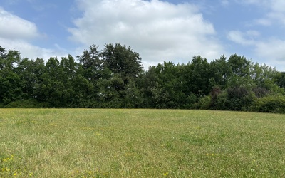 Image du projet Haie champêtre, prairie naturelle et biodiversité à l'EPPu MASSEUBE