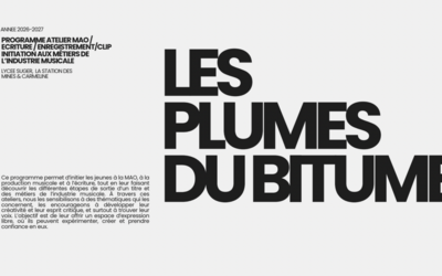 Image du projet Les plumes du bitume