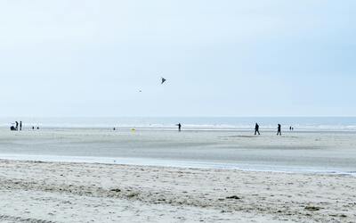 Image du projet Une journée à la découverte du littoral 