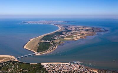 Image du projet Classe de mer à Noirmoutier -  Découverte du milieu marin