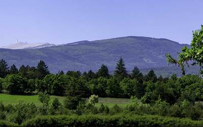 Image du projet Classe Découverte des Olivades au Mont Ventoux