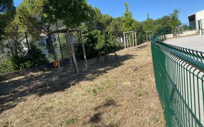 Image du projet Création d'un bosquet fruitier au sein du collège