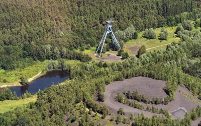 Image du projet Aire éducative de la forêt de Raismes