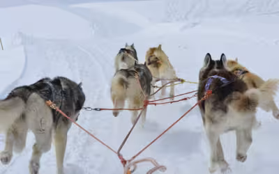 Image du projet séjour Montagne - Orcières Merlette