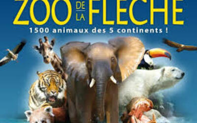 Image du projet Le tour du monde des animaux !