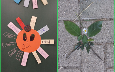 Image du projet ATE Un verger pour la biodiversité