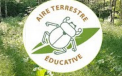Image du projet Aire éducative Mesnil-Saint-Nicaise