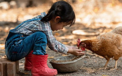 Image du projet Tous à la ferme !