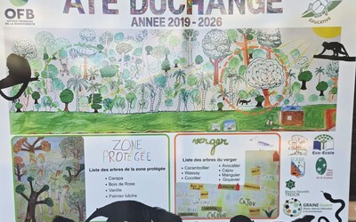 Image du projet ATE Augustine Duchange