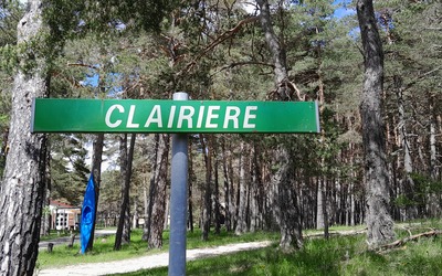 Image du projet Classe de découverte à la ferme
