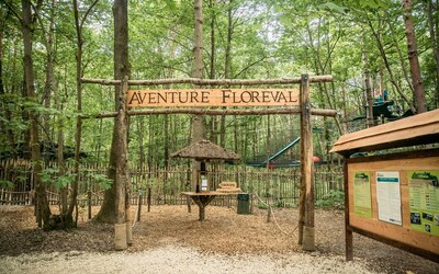 Image du projet PARC AVENTURE ET LOISIRS ACTIFS EN FORET