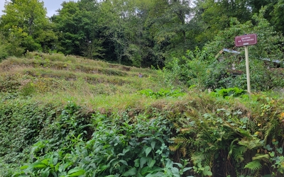 Image du projet Les jardins en terrasses