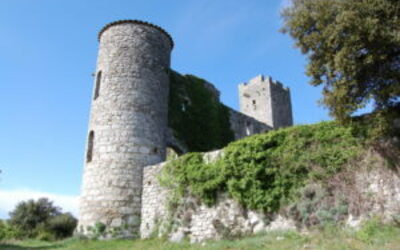 Image du projet Classe Découverte des Olivades à Anduze