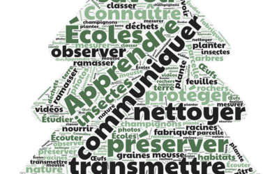 Image du projet Une Aire Terrestre Educative gérée par les élèves de l'Ecole d'Hauteville-Gondon