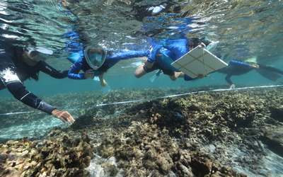 Image du projet AME Etang Salé les Bains : sauvons le corail !