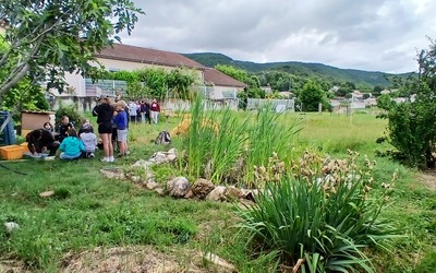 Image du projet ATE : jardin de biodiversité autour de la mare