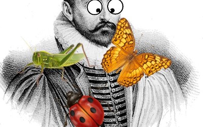Image du projet Saint-Michel de Montaigne : la biodiversité à portée de classe 