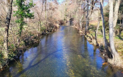 Image du projet les apprentis hydrobiologistes