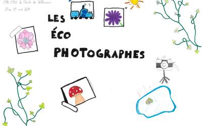 Image du projet Les éco-photographes de l'école primaire des Genêts 