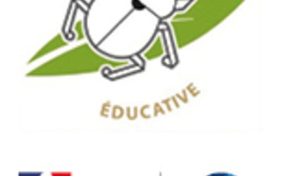 Image du projet Fenêtre sur Ruche :   notre Aire Éducative au rythme des pollinisateurs
