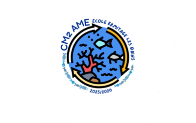 Image du projet Plongez au coeur de l'AME des CM2A de l'Ermitage