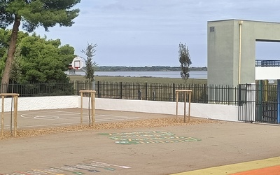Image du projet Aire Marine Éducative autour de notre étang