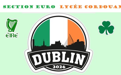 Image du projet Voyage Dublin Section Européenne Lycée Cordouan Royan. 
