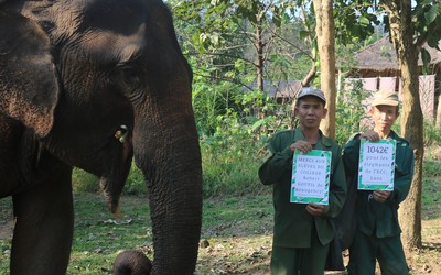 Image du projet La marche pour les éléphants du Laos