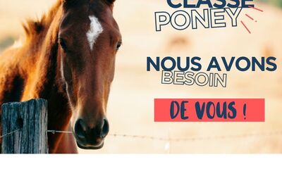 Image du projet Classe découverte poney - entre coopération et développement durable