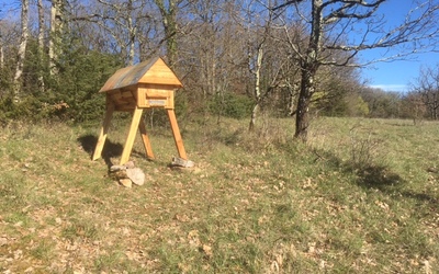 Image du projet Projet d'Aire Éducative de l'école publique de Monteils en Aveyron