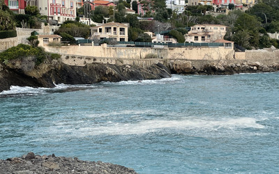 Image du projet Aire Marine Éducative Cap d'Ail