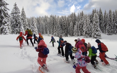 Image du projet Les CP/CE1 et les CE1 en classe de neige