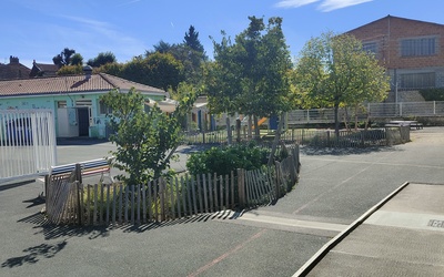 Image du projet La nature dans la ville