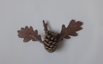 Image du projet Classe contes et nature en breton
