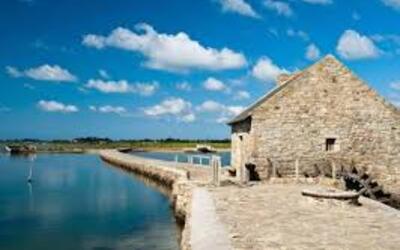 Image du projet Classe de mer des CE CM bilingues de Romain Rolland Lanester