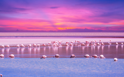 Image du projet Les élèves de Monanges en Camargue !